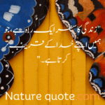 islamic quotes in urdu