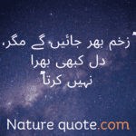 Sad Quote in Urdu