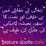 Attitude Quote In Urdu