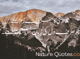 deep quote in urdu