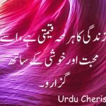 Heart Touching Quote about Life in Urdu