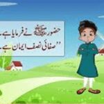 صفائی نصف ایمان ہے