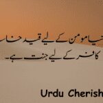 Top 3 Sad Islamic Quotes in Urdu