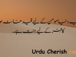 Top 3 Sad Islamic Quotes in Urdu