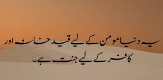 Top 3 Sad Islamic Quotes in Urdu