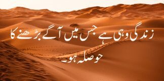 Top 3 Best Urdu Quote of All Time