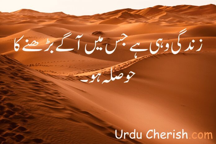 Top 3 Best Urdu Quote of All Time