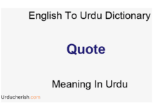 Understand Quotes Meaning in Urdu