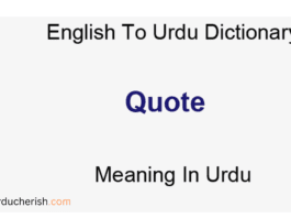 Understand Quotes Meaning in Urdu