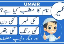 Umair Name Meaning In Urdu (Boy Name عمیر)