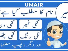 Umair Name Meaning In Urdu (Boy Name عمیر)