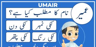 Umair Name Meaning In Urdu (Boy Name عمیر)