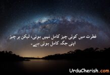 Top 3 Deep Nature Quotes in Urdu