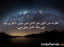 Top 3 Deep Nature Quotes in Urdu