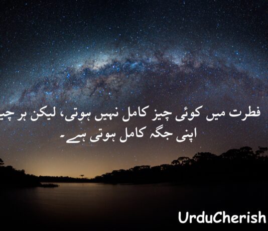 Top 3 Deep Nature Quotes in Urdu