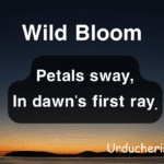 Top 4 Short Nature Poetry