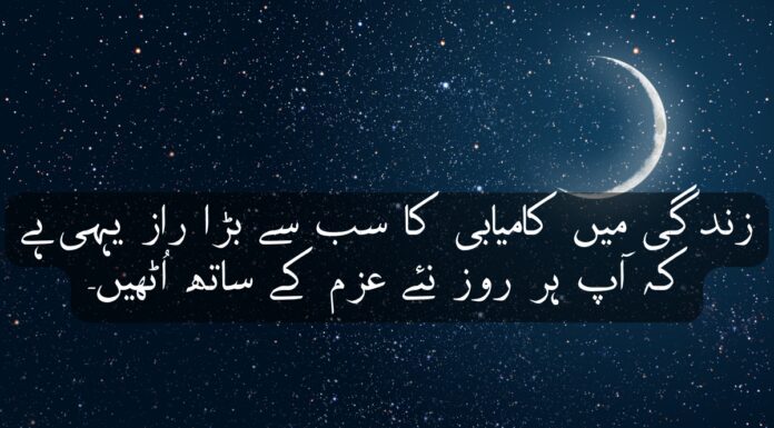 Top 6 Life Quotes in Urdu