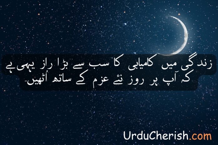 Top 6 Life Quotes in Urdu