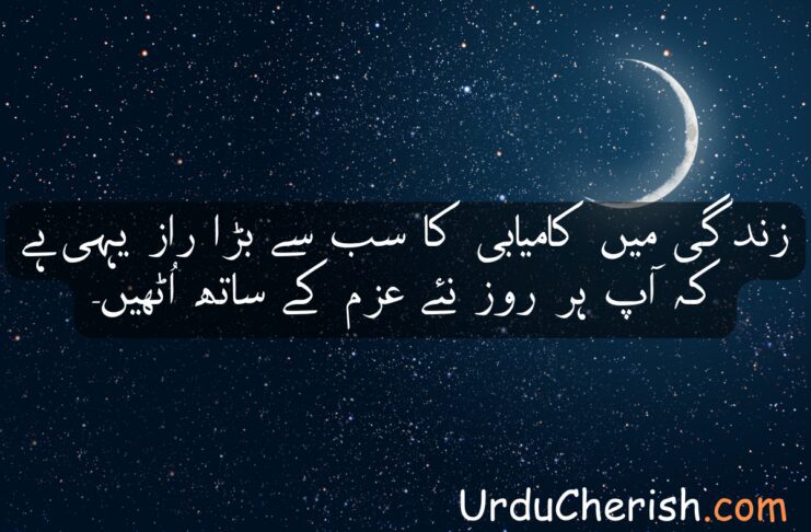 Top 6 Life Quotes in Urdu